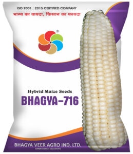 Bhagya-716