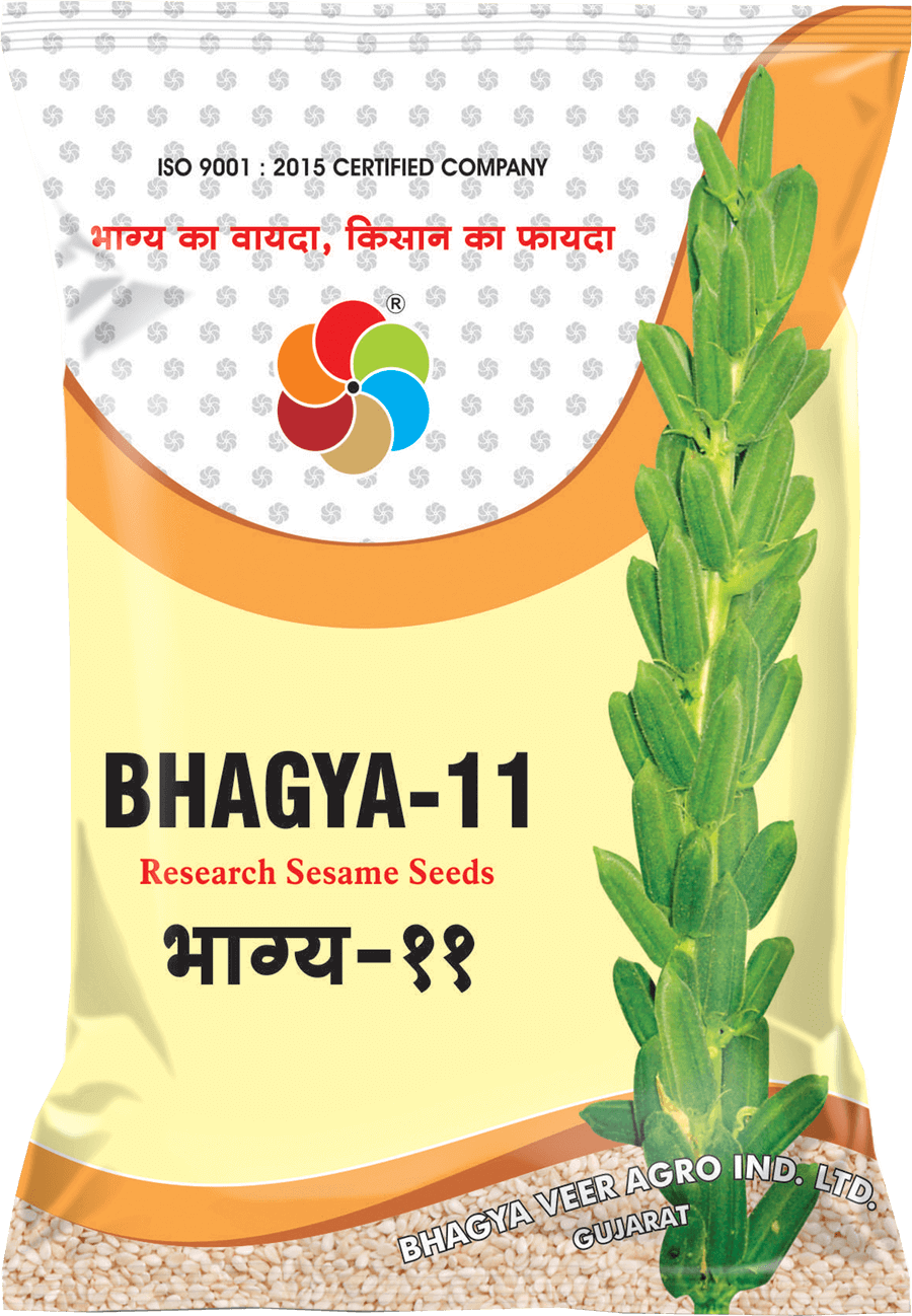 Bhagyaveer Bhagya-11 ( Sesame Seed )