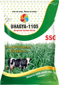 Bhagya 1105 (SSG)