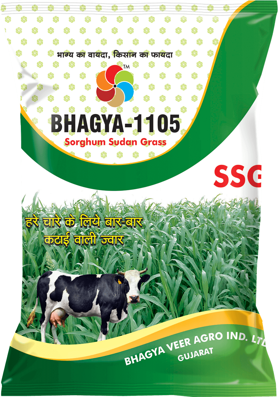 Bhagyaveer Bhagya 1105 (SSG)