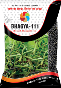 Bhagya-111 ( BlackGram Seed )