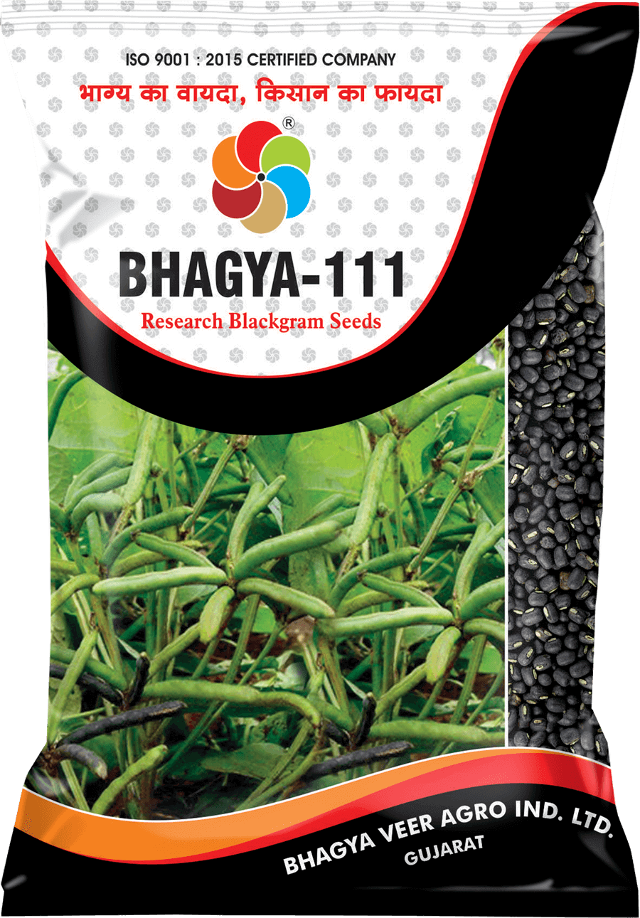 Bhagyaveer Bhagya-111 ( BlackGram Seed )