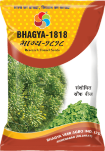 Bhagya 1818 ( Fennel Seed )