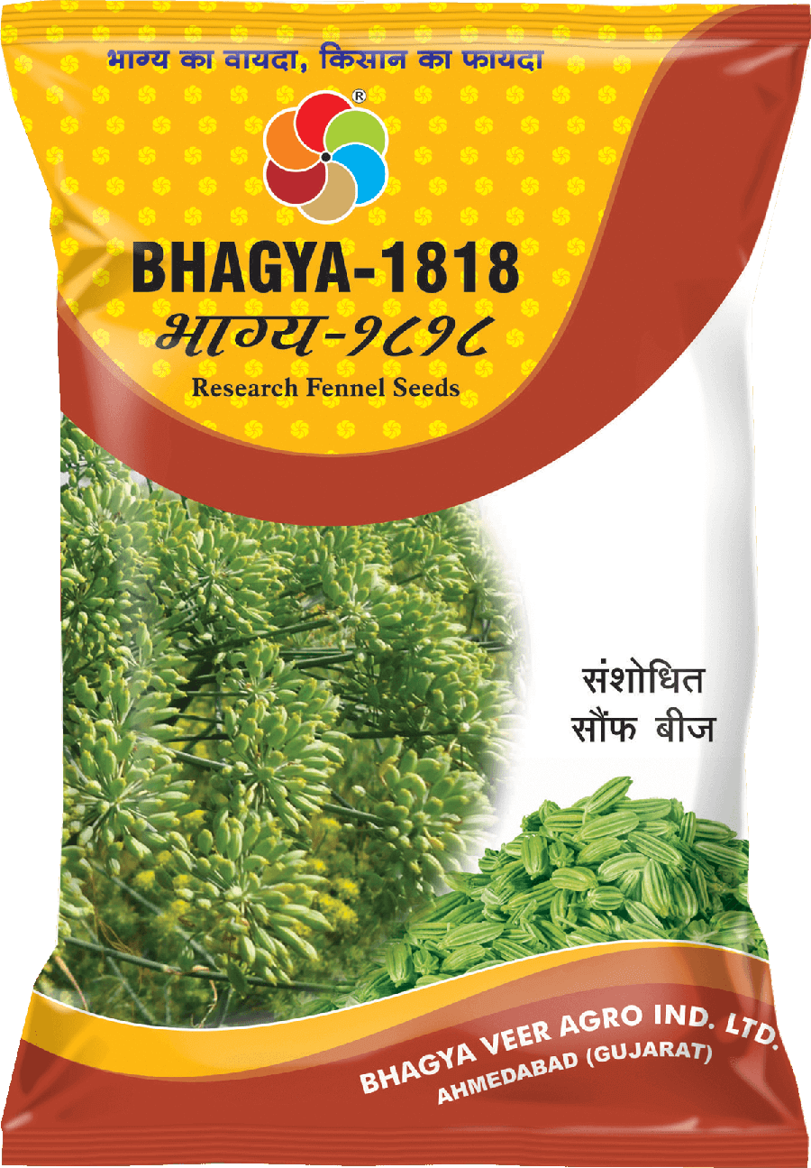 Bhagyaveer Bhagya 1818 ( Fennel Seed )