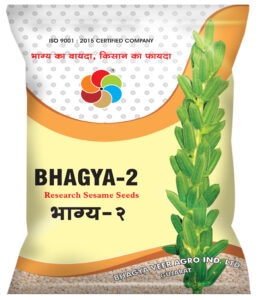 Bhagya-2 ( Sesame Seeds )