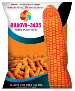 BHAGYA-3435