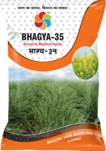 Bhagya-35 ( Mustard Seed )