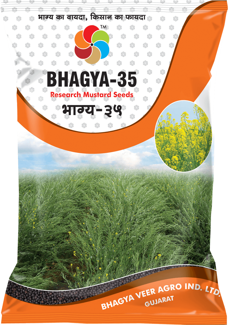 Bhagyaveer Bhagya-35 ( Mustard Seed )