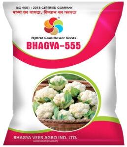 Bhagya  555 ( Hy. Cauliflower Seeds)