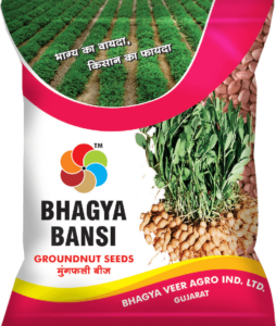 Bhagya Bansi (Groundnut)