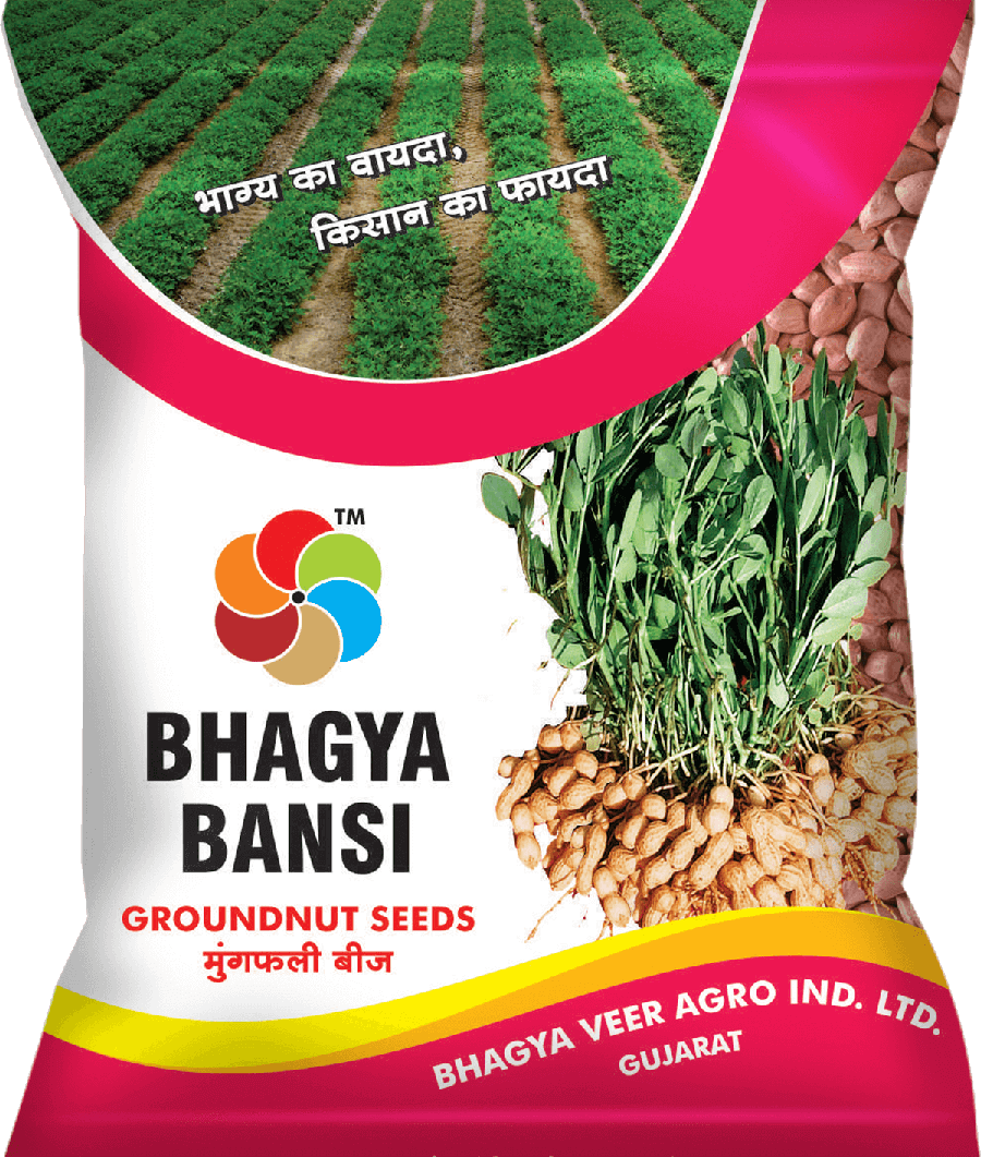 Bhagyaveer Bhagya Bansi (Groundnut)