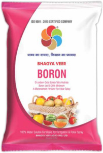 Bhagya Boron