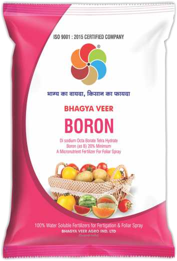 Bhagyaveer Bhagya Boron