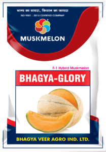 Bhagya Glory ( Hy. Muskmelon)