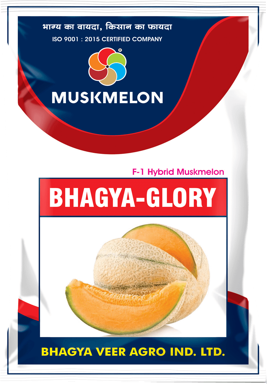 Bhagyaveer Bhagya Glory ( Hy. Muskmelon)