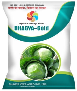 Bhagya Gold ( Hy. Cabbage Seeds )