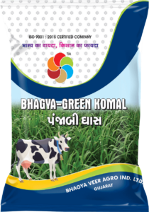 Bhagya Green Komal ( Punjabi Ghass )