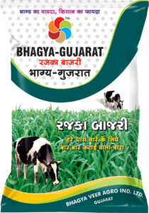 Bhagya Gujarat ( Rajka Bajra )