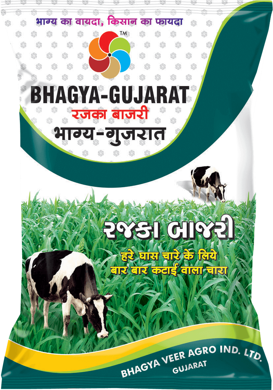 Bhagyaveer Bhagya Gujarat ( Rajka Bajra )