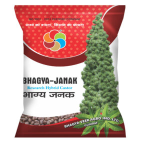 Bhagya Janak