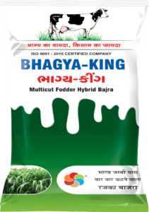 Bhagya King ( Multicut Bajra )