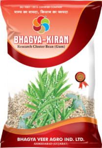 Bhagya  Kiran ( Cluster Bean )