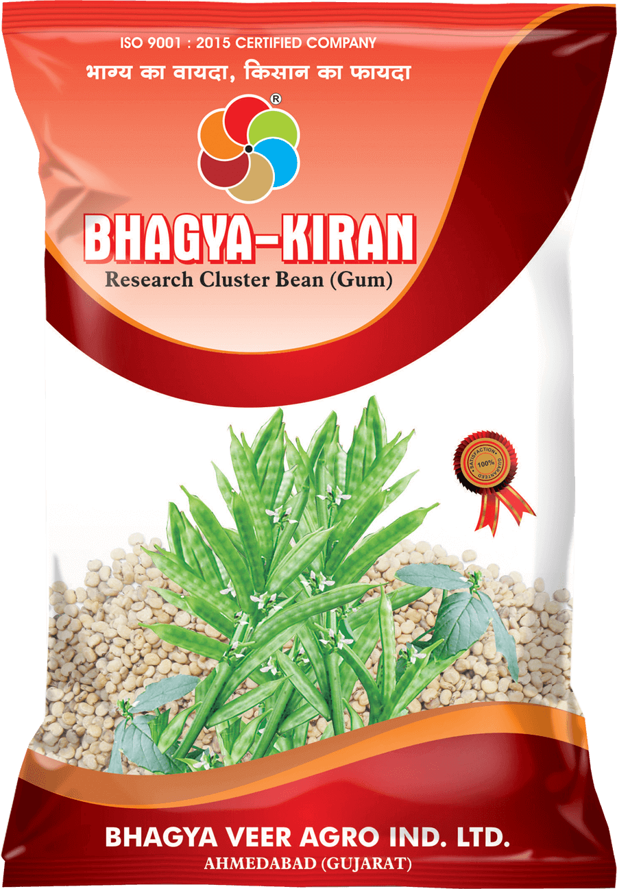 Bhagyaveer Bhagya  Kiran ( Cluster Bean )