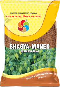 Bhagya Manek