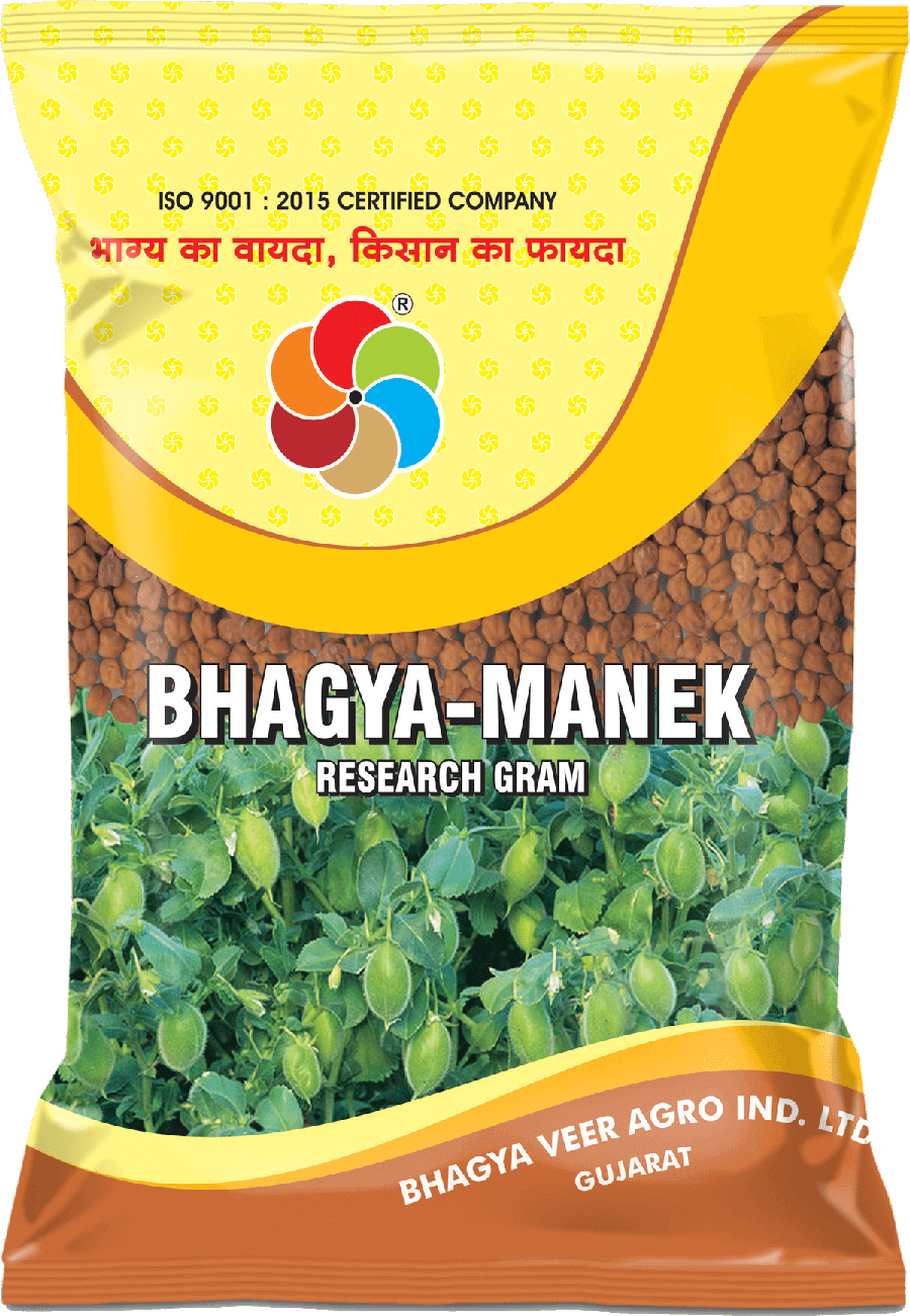 Bhagyaveer Bhagya Manek