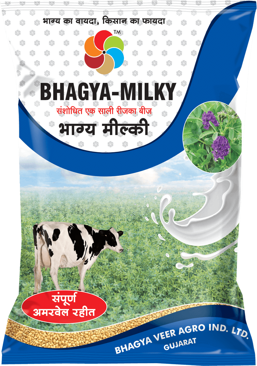 Bhagyaveer Bhagya Milky ( Lucerne Rajko )