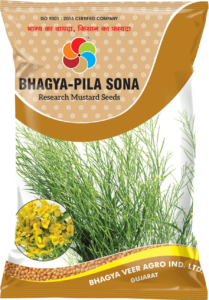 Bhagya Pila Sona (Mustard Seeds)