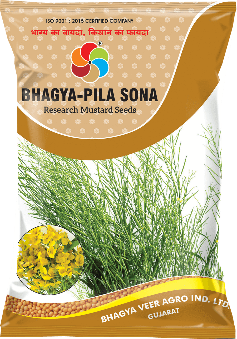 Bhagyaveer Bhagya Pila Sona (Mustard Seeds)