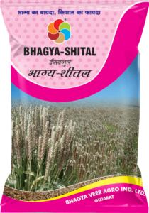 Bhagya Shital