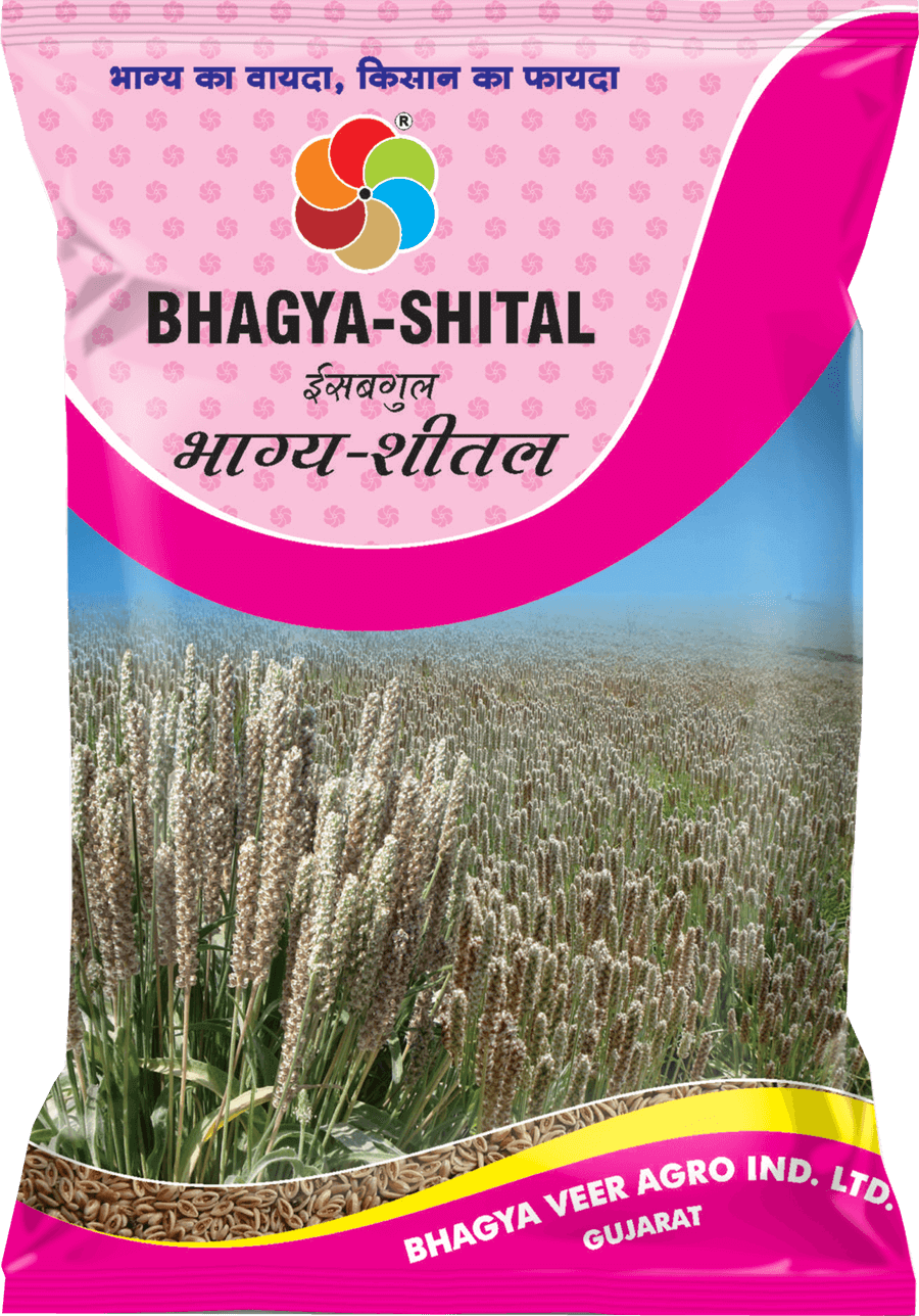 Bhagyaveer Bhagya Shital