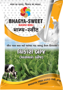 Bhagya Sweet ( Chikori Seed )