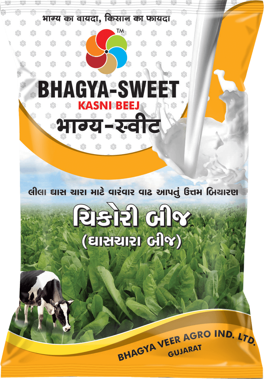 Bhagyaveer Bhagya Sweet ( Chikori Seed )