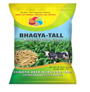 Bhagya Tall (Oats Seeds)