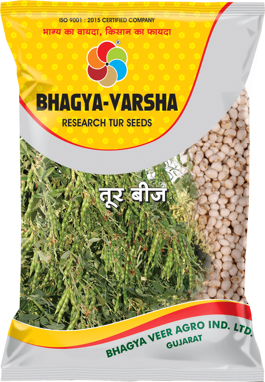 Bhagyaveer Bhagya Varsha ( Tur Seed )