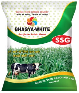 BHAGYA WHITE (SSG)