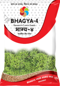 Bhagya 4  ( Cumin Seed )