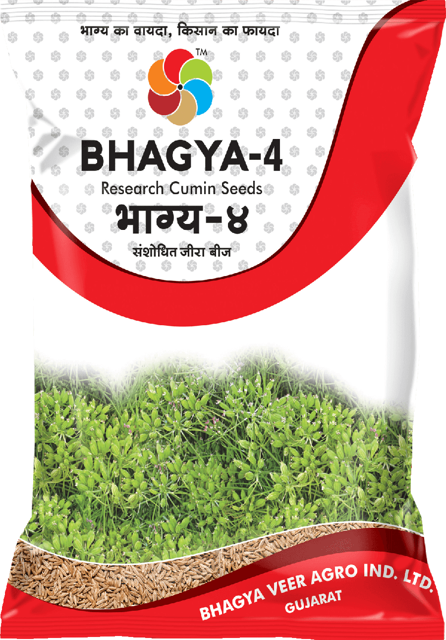 Bhagyaveer Bhagya 4  ( Cumin Seed )