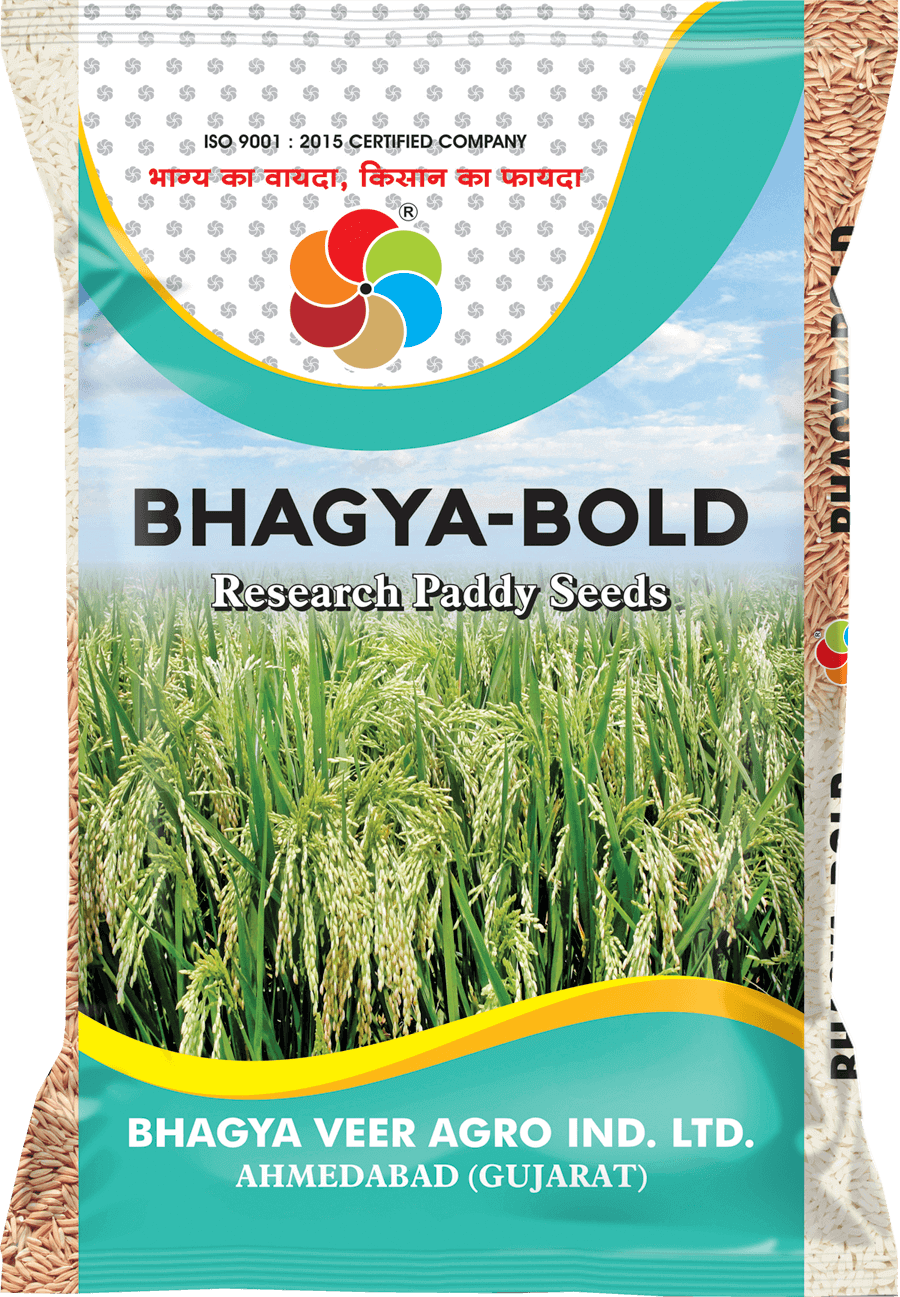 Bhagyaveer Bhagya Bold (Paddy Seed)