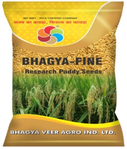 Bhagya Fine ( Paddy Seed )