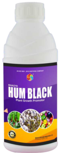 Bhagya-HUM-BLACK