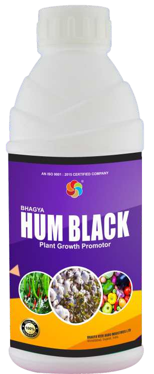 Bhagyaveer Bhagya Hum Black