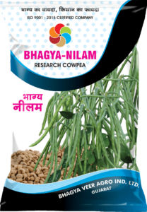 Bhagya Nilam ( Research Cowpea )