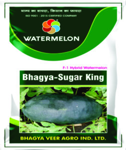 Bhagya Sugar King ( Hy. Watermelon )