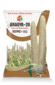 Bhagya-20 (Hy. Bajra)