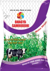 BHAGYA SAMRUDDHI